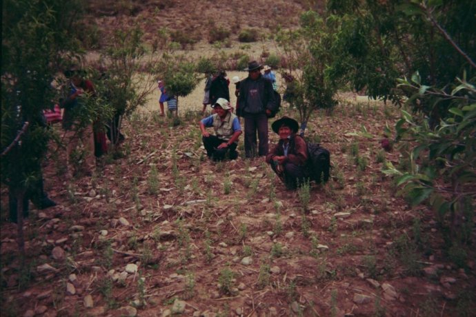 Photographie de Tarabuqueños dans un champ agricole
