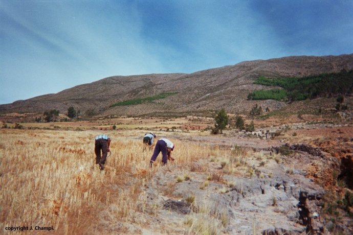 Pisili-Tarabuco